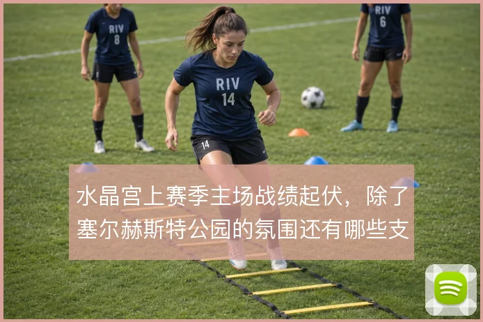 水晶宫上赛季主场战绩起伏，除了塞尔赫斯特公园的氛围还有哪些支撑因素