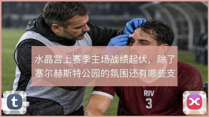 水晶宫上赛季主场战绩起伏，除了塞尔赫斯特公园的氛围还有哪些支撑因素